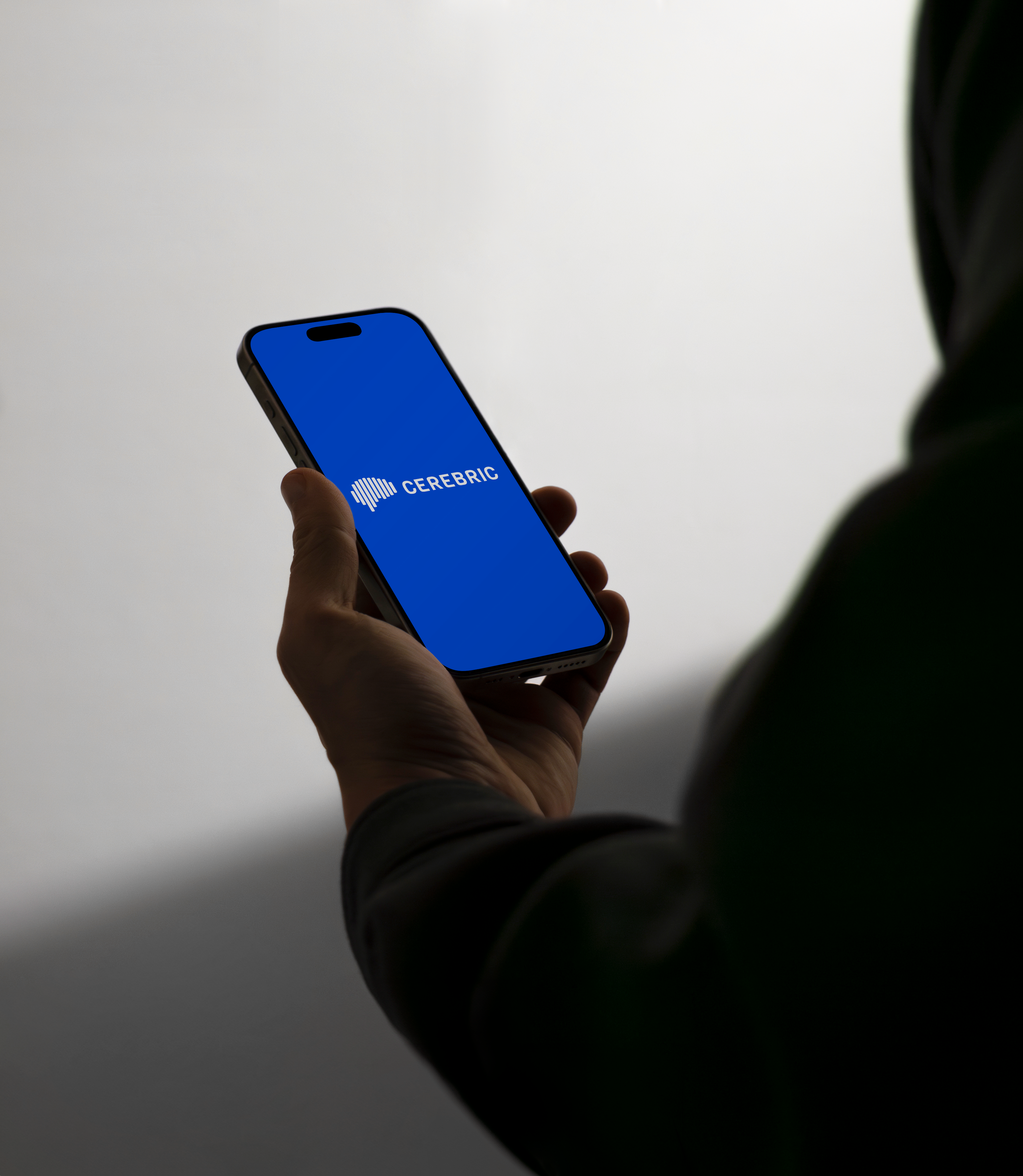 Cerebric brand and site mockup